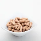 FDA GMP Organic Herb Mushroom Lingzhi Reishi Lucidum Ganoderma Capsules