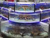 Dingfeng customized supermarket or restaurant 3 layer chiller live king crab tank aquarium
