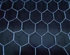 triple twist SUS hexagonal wire mesh /pvc chicken coop galvanized wire mesh/Twist With Extension Hexagonal Mesh