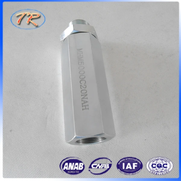 DSCN2698 .jpg