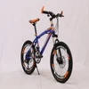 Wholesale 20 inch fixed gear bike