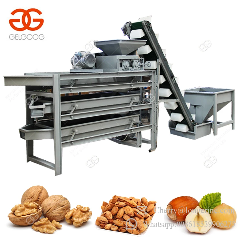 Automatic Huller Walnut Cracker Hazelnut Cracking Apricot Kernel Shelling Almond Cracking