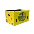 Custom Corrugated Cardboard Orange Wax Coated Box