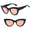 /product-detail/dll18004-new-style-oculos-fashion-women-retro-cat-eye-one-dollar-sunglasses-2019-62007636519.html