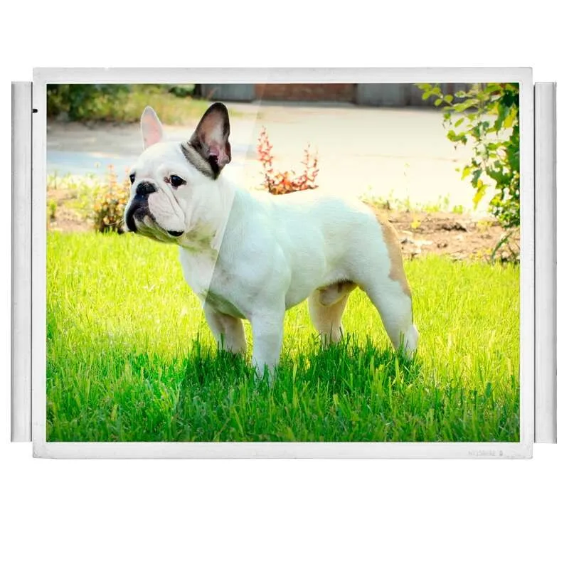 15 inch industrial monitor tft open frame .jpg