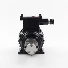 Mini Micro Low Pressure Gear Water Pump