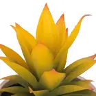Succulent Plants Artificial Plants Trees Artificial Succulent Plants Set Artificial Plastic Succulent Small Tree For Home