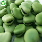 Broad Beans Export Chinese Green Specifications Iqf Whole Raw Frozen Split Broad Beans For Sale