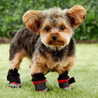 Soft Mesh Breathable Winter Pet Dog Boots Shoes
