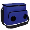 Wholesale insulated shoulder lunch cooler bag picnic wine cooling bag with speaker