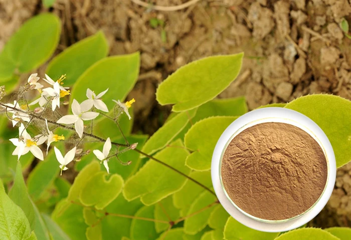 honey goat weed extract herbs high in epimedium
