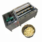Customized cassava potato carrot peeler machine