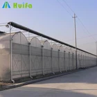 Solar Agricultural Aquaponic Greenhouse Equipment
