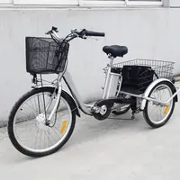 Retro200w 250w 350w 3 Wheel Electric