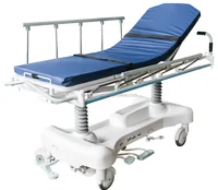 BR TS1 With PU Mattress Hydraulic
