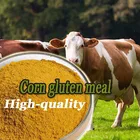 corn gluten meal powder animal feed
