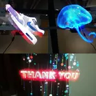 HD 42cm 3D Hologram LED Display Imaging Advertisement Electric Fan