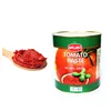 3KG tin tomato paste tomato ketchup brand for Europe