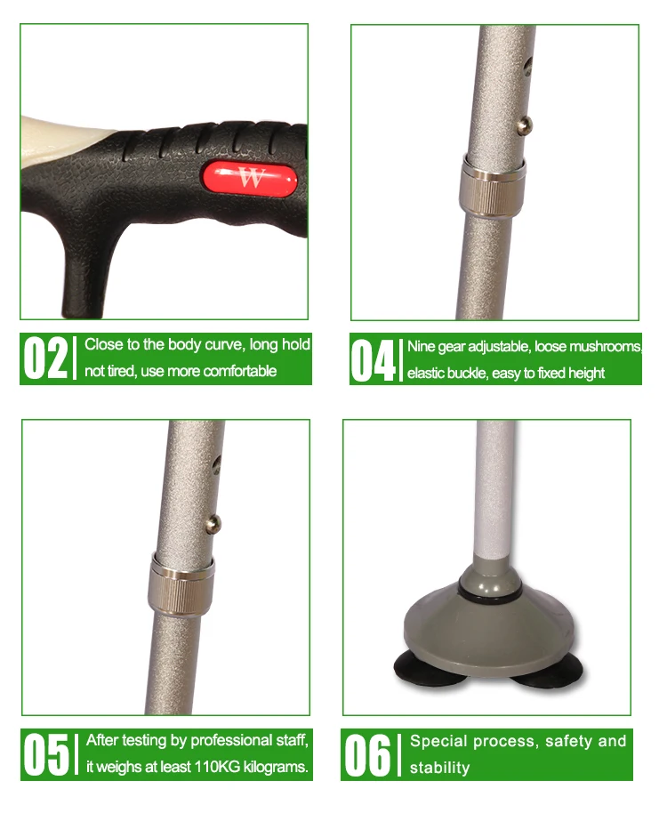 walking stick 3.jpg