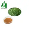 Manufacturer Supply horsetail grass extract organic silicon/green barley grass powder