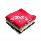 Customize Printed Paisley Cotton Bandana for Hair Decoration