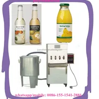 Small Factory Professional Making Bottle Juice