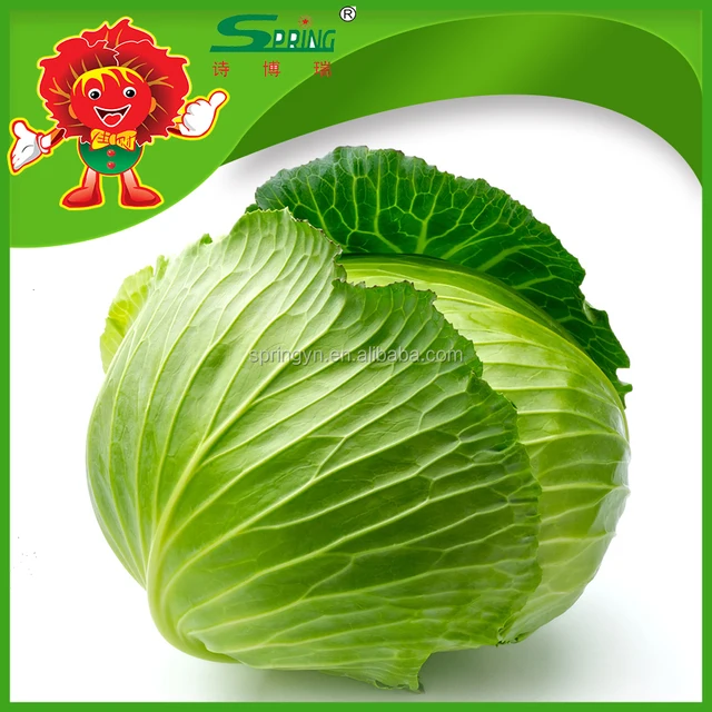 Delicious and Nutritious Best Green Cabbage Recipe for a Healthy Lifestyle