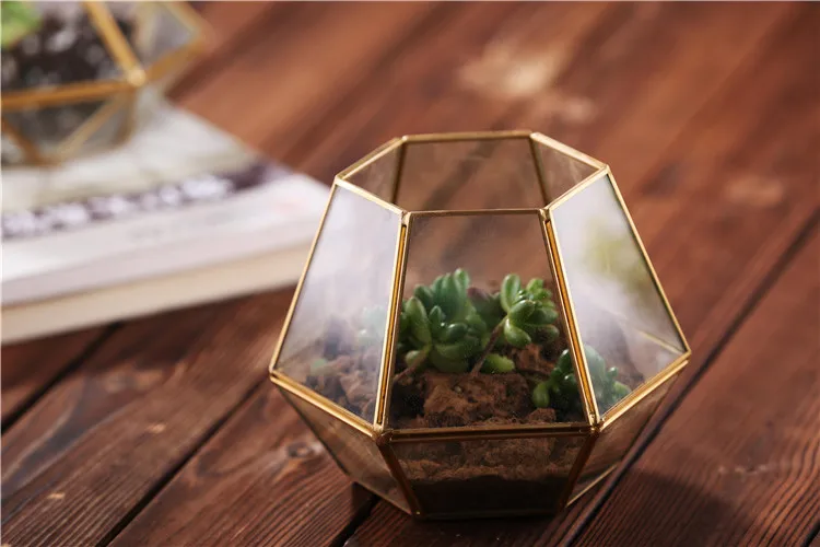 glass terrarium (2).jpg