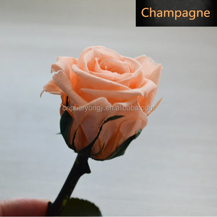 eternal decorative preserved flowers wedding gift immortal