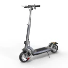Foldable Electric Scooter with 500W motor and 9 wide tyre