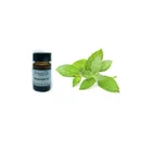 Spearmint Oil Spearmint Farwell Spearmint Essential Oil Price Plant Extract With High Quality 8008-79-5