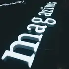 Customized Box Case Led Lighted Animal Logo Sign