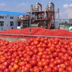 Best sale automatic tomato paste production line machinery processing machine