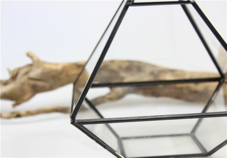 Fat diamond shaped glass greenhouse four drill copper wash black succulent flower vase