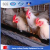 wire mesh cage chicken layer for chicken farms in Canada and Malaysia