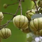 Capsules Weight Loss Capsules Best Weight Loss 500mg Garcinia Cambogia Extract Capsules