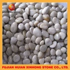 garden blue river pebble gravel stone for decoration