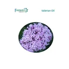 Farwell 100% natural bulk best Valerian Oil price perfume oil CAS 8008-88-6