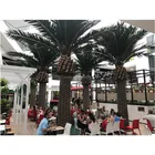 Outdoor decoration artificial Seaweed tree date Palm tree