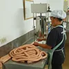15L electric stainless steel sausage filler mini sausage making machine