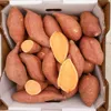 Baked sweet potato wholesale from Chinese factory