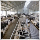 prefabricated warehouse light steel structure cow farm building for agriculture