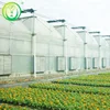 Saw Tooth Agricultural Greenhouse For Vegetables Planting