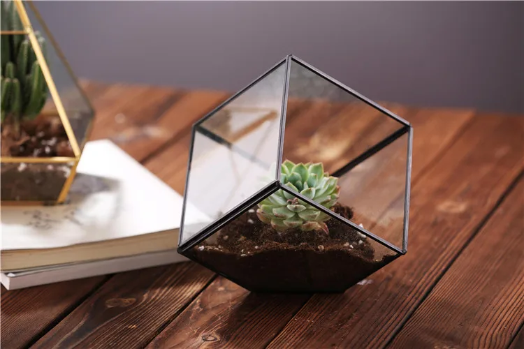 glass terrarium (2).jpg