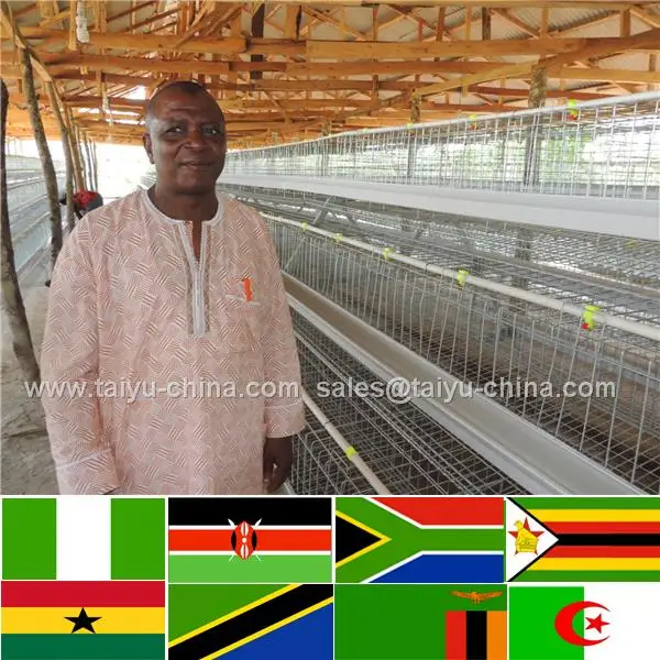 Comercio aseguramiento n° 1 automática estiércol limpieza cómo iniciar una granja avícola negocio