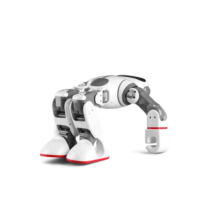 RB-13K250 Dobi Robot(3)