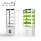 Factory price hydroponic greenhouse growing system for home for vegetables seeding