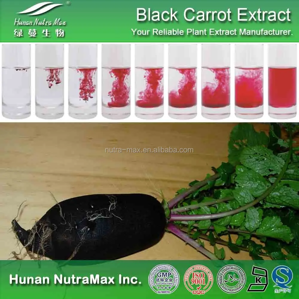 black carrot powder extract, black carrot color, black carrot