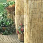 reed screen for cover, shading,blinding