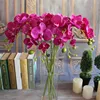 /product-detail/artificial-flowers-real-touch-artificial-moth-orchid-butterfly-orchid-for-new-house-home-wedding-festival-decoration-party-hotel-60725486701.html